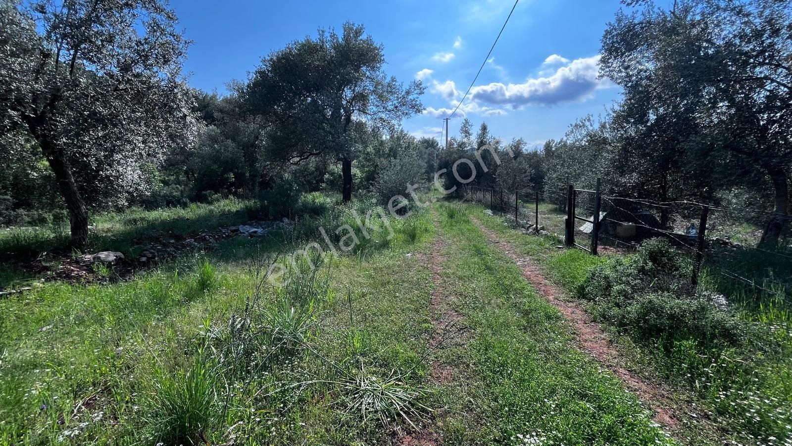Stop’tan Göcek'te 3443m² %5 İmar Yol Su Elektrik Önünde Göcek 7km Satılık - Görsel 7