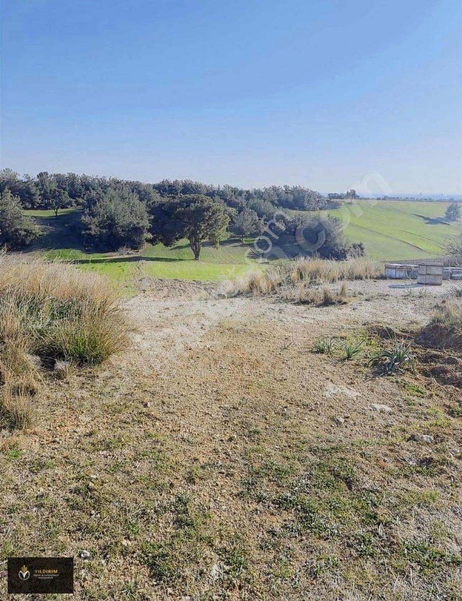 Buruk Tokilere Komşu 177 Mt Satılık Hisse - Görsel 3