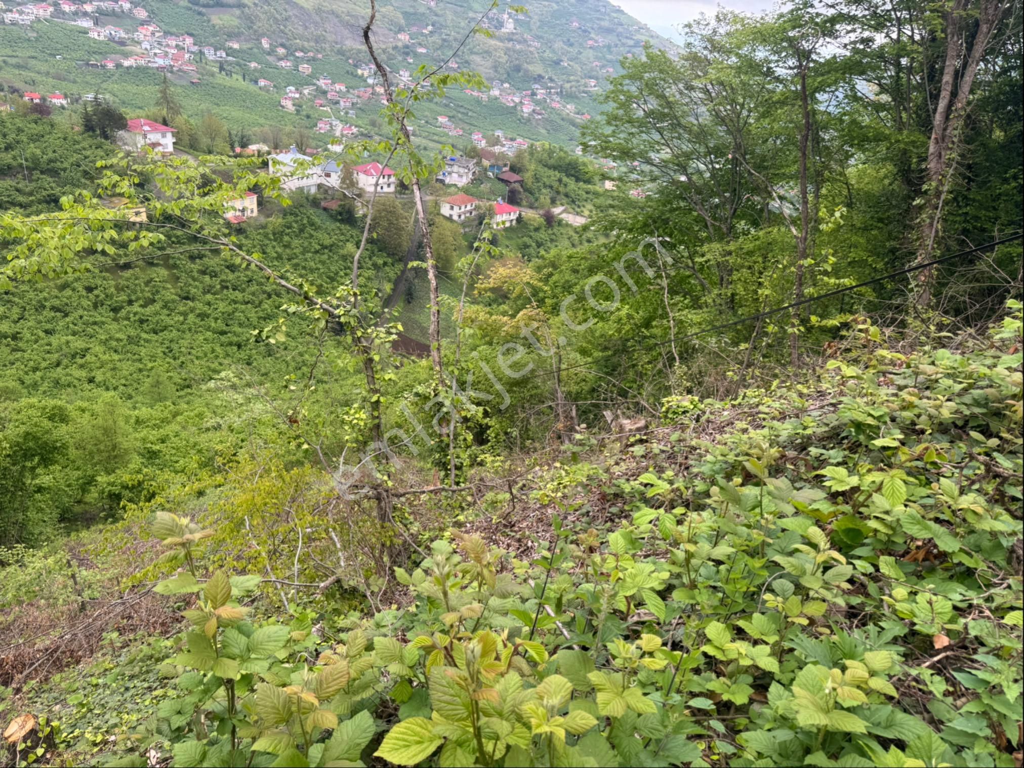 Yıldız Gayrimenkul Den Akçaabat Uğurluda Satılık Arazi