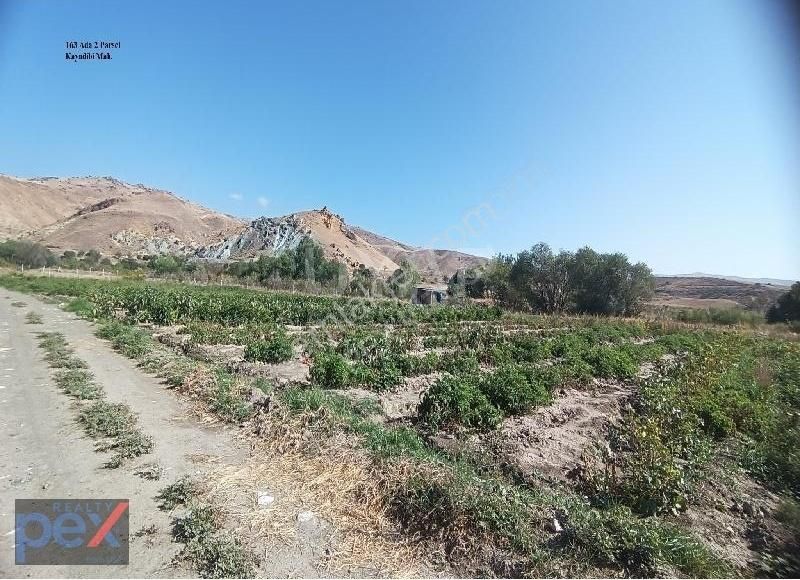 Elmadağ Kayadibi'nde Yolu Olan, Tek Tapu Tarla