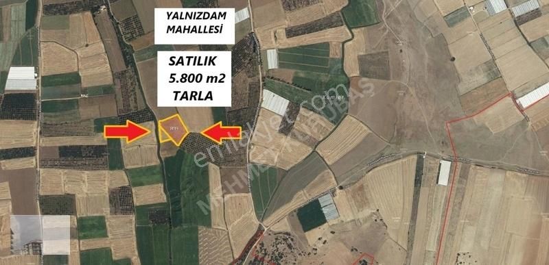 Mehmet Kurubaş Emlak'ta Yalnızdam Mah. Satılık 5.800m2 Tarla