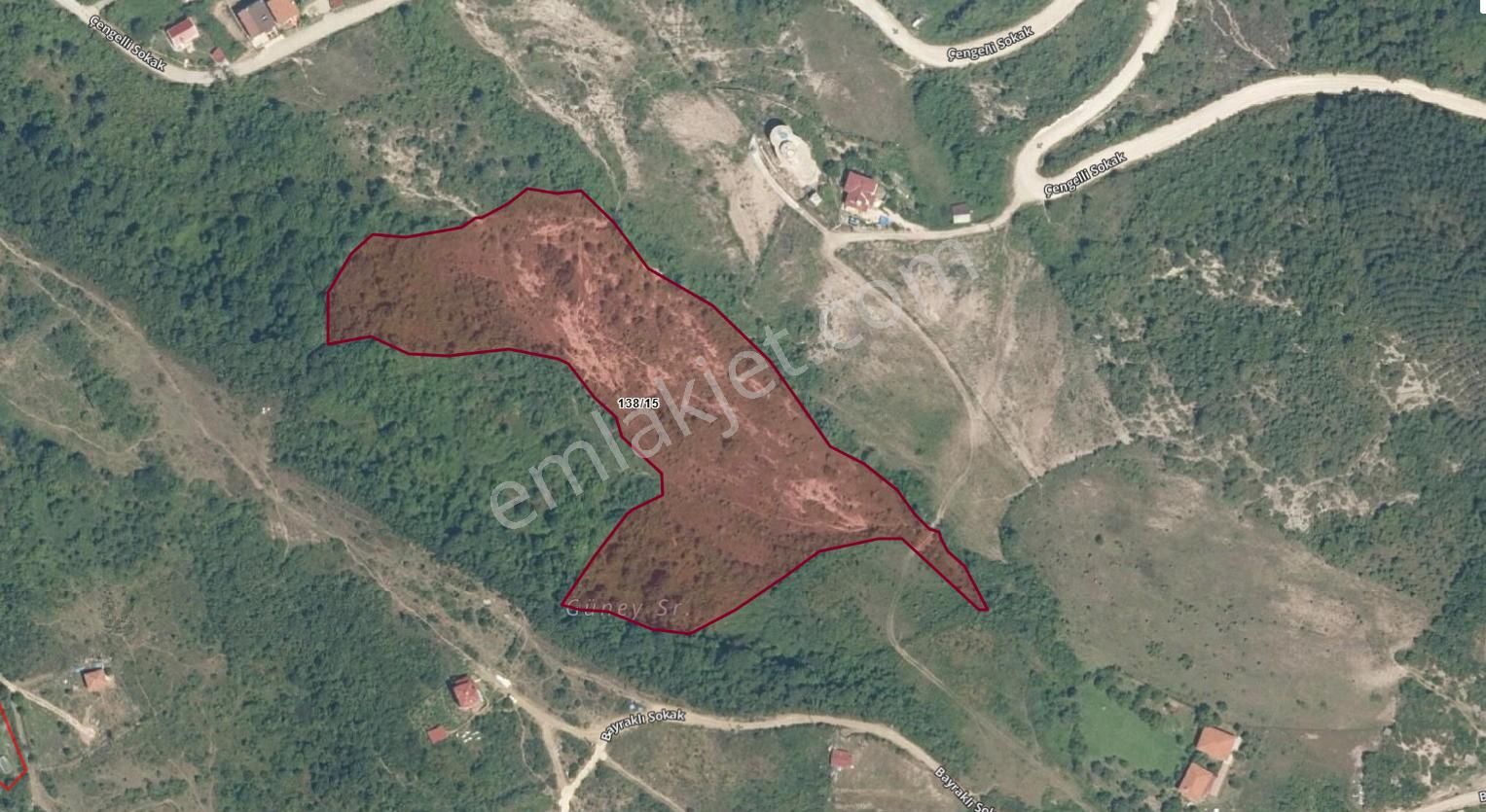 Cide Demirtaş Emlak Güvencesi İle Kasım Köyünde Satılık Tarla