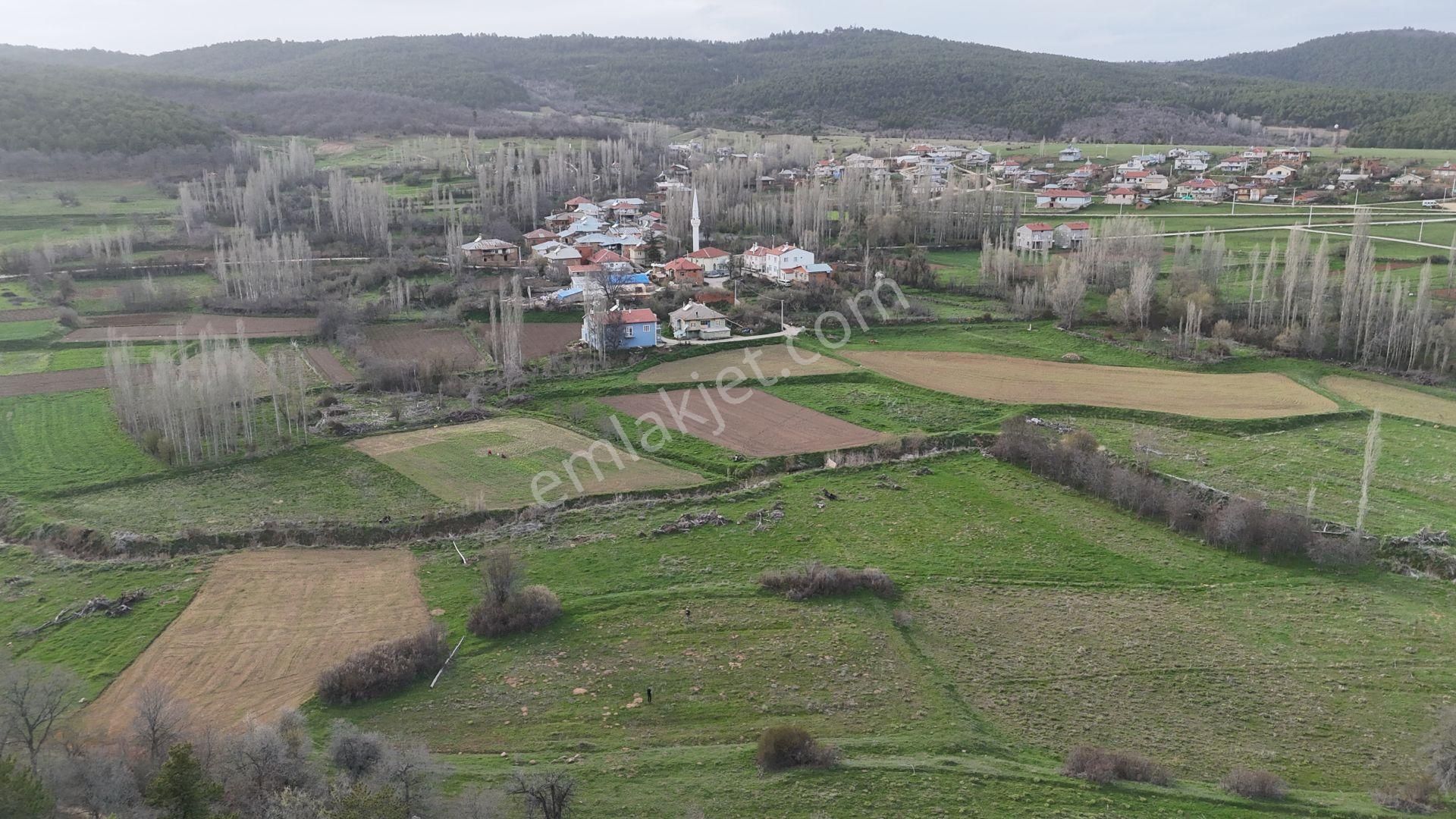 Konya / Ilgın / Gökbudak Mahallesinde 2.523 M² Müstakil Tapulu Tarla
