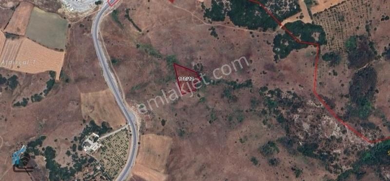 Üçpınar Mahallesi Satılık 267 M2 Tarla Hissesi