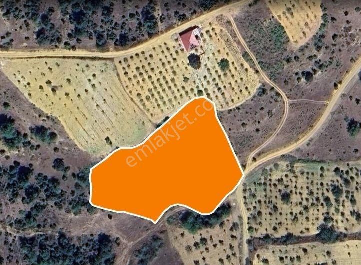 Söğüt'ün En Güzel Köyünde Satılık Kadastral Yollu 4858m² Arazi