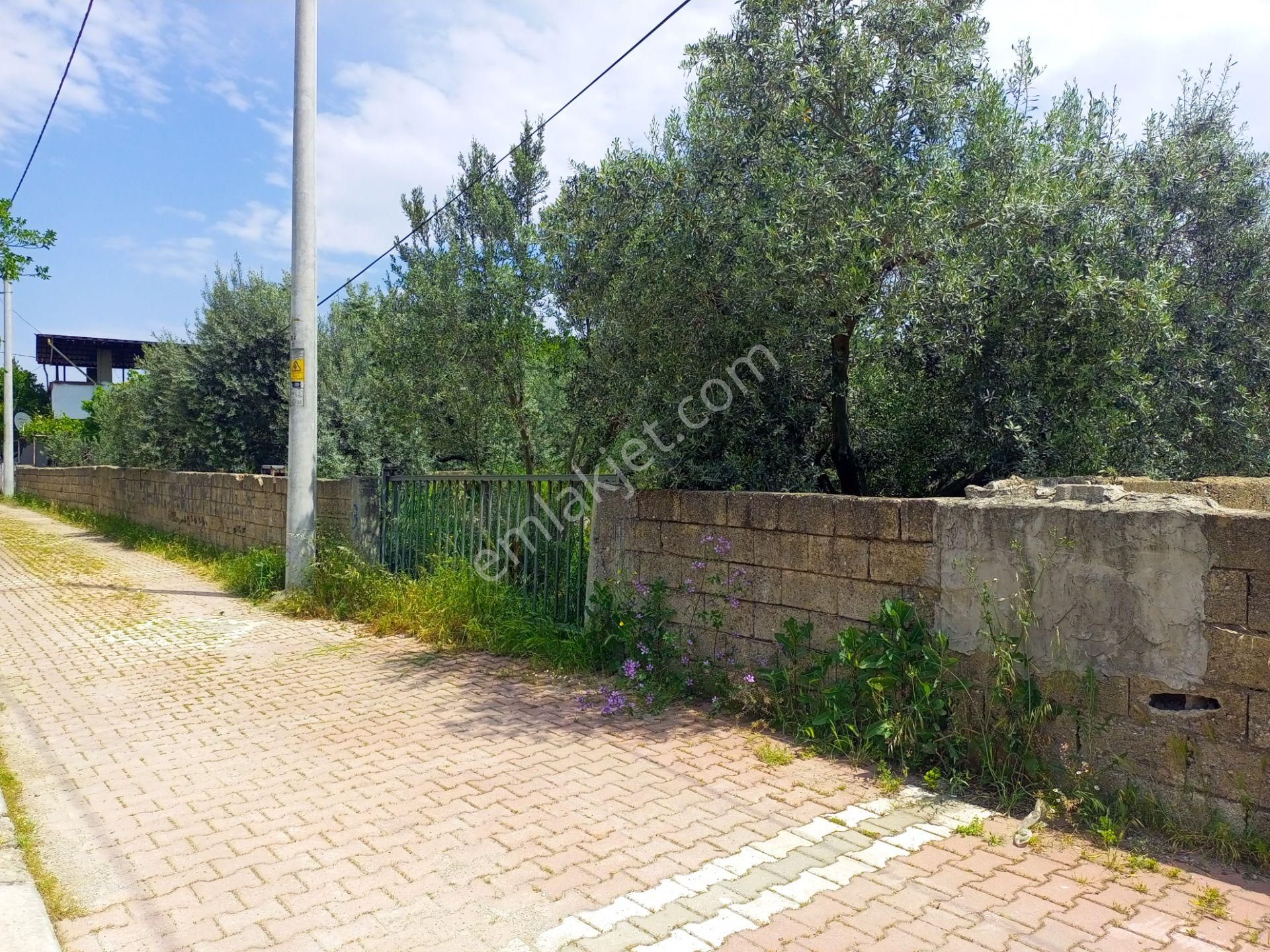 Torbalı Kuşçuburun Mah. 750m2 Köy İçi Ev Yapmaya Uygun Arsamız Satılıktır.