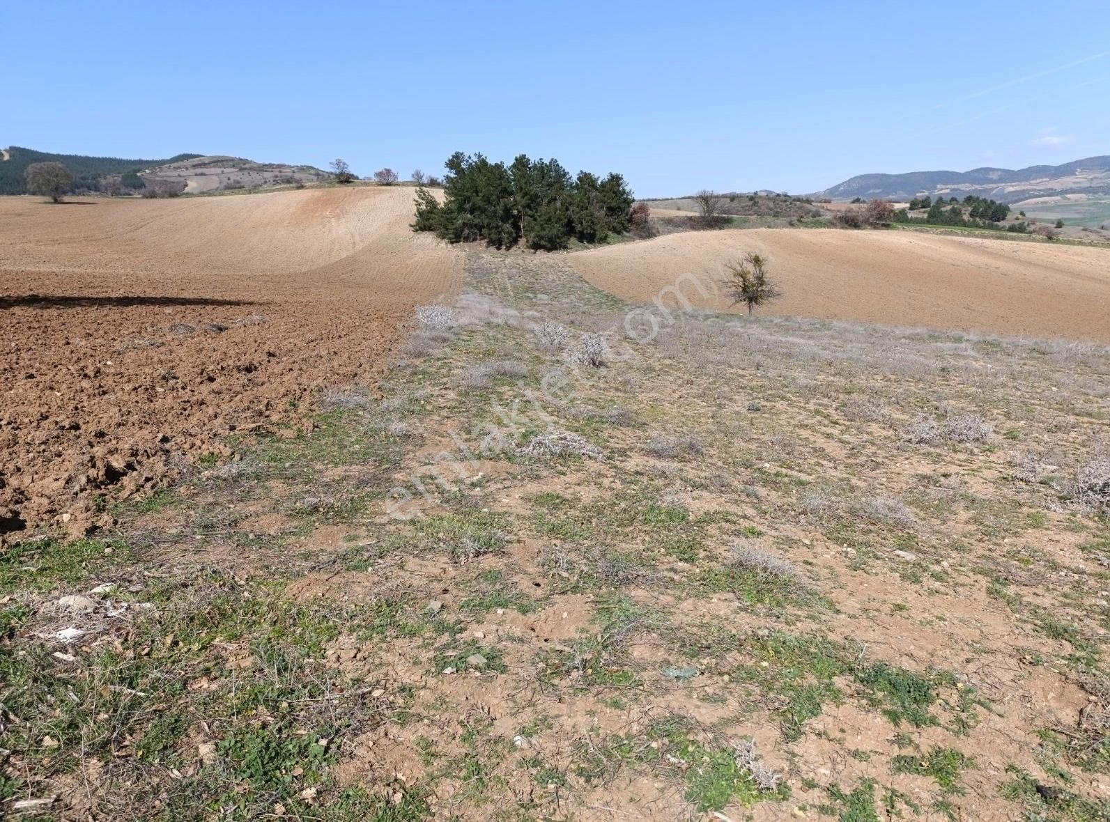 5600 M2 Resmi Yola Cepheli Asfalta 400 Metre Bağ Evi Yapilabilir