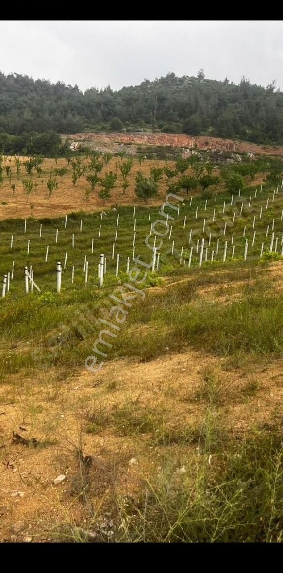 11.600m Bilecik Küre'de Yolu Suyu Var