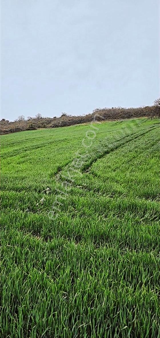 3000m Barcın Mah 1km Civarı Hava Alanı Yenişehir Manzaralı Fırs - Görsel 2