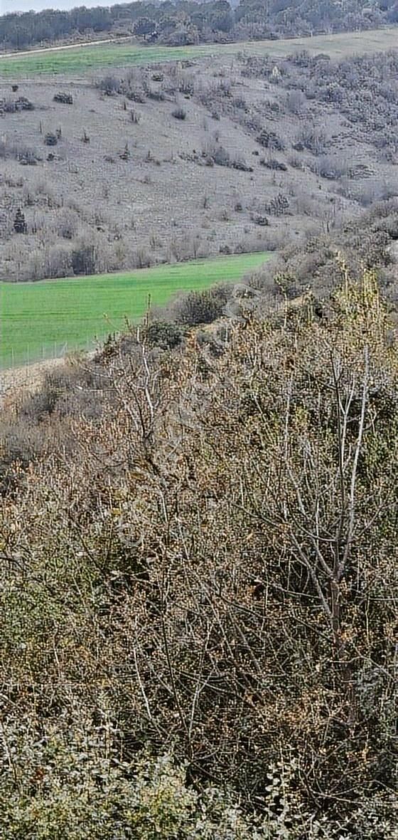 3000m Barcın Mah 1km Civarı Hava Alanı Yenişehir Manzaralı Fırs - Görsel 5
