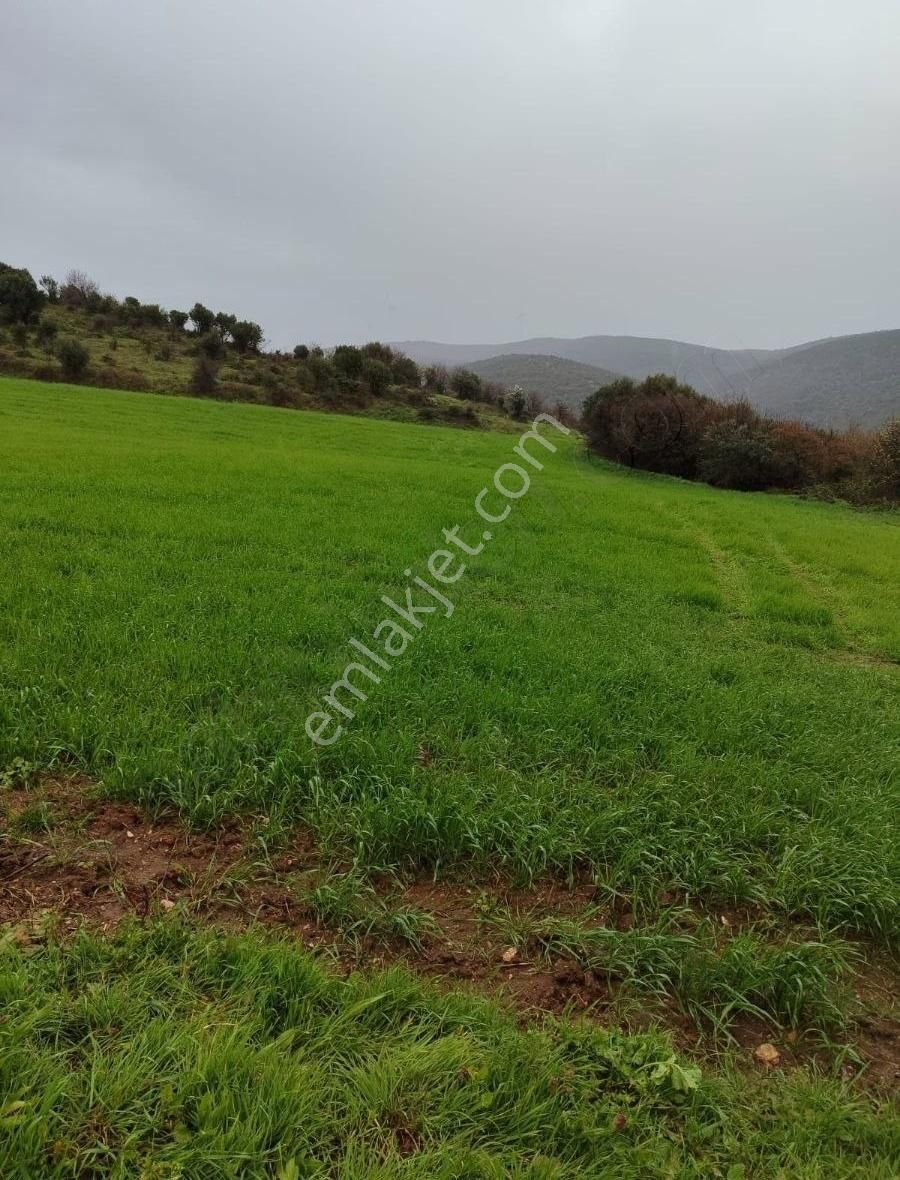 Doğla'da 4750m Köye 300 Metre Resmi Yolu Var Tek Tapu
