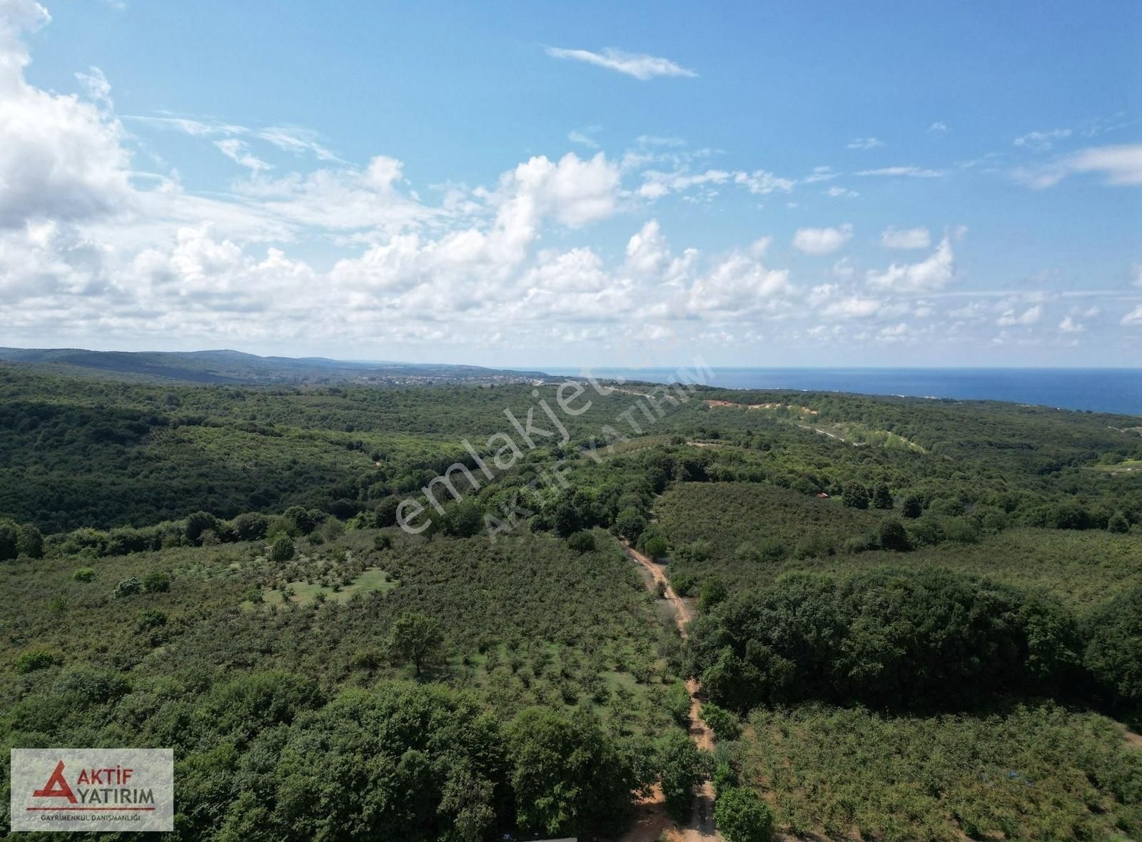 Bollu'da Plajlara Yakın Konumda 1704 M2 Yetişkin Fındık Bahçesi