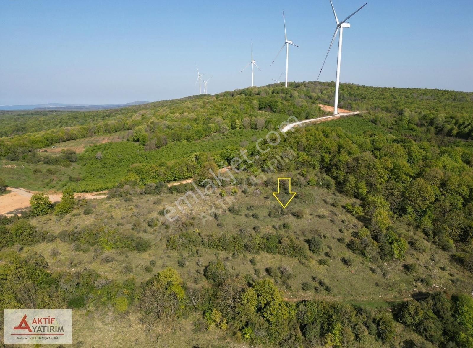 Bağırganlı Zirvede Ormana Cepheli Eşsiz Manzaraya Sahip 3362 M2 - Görsel 2