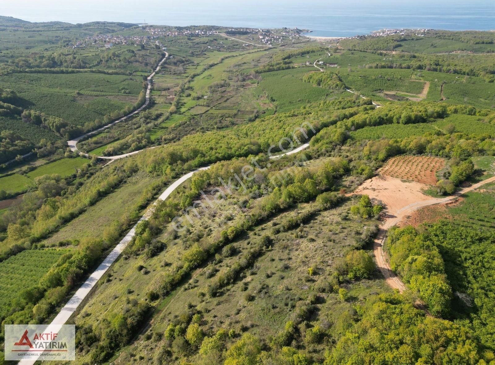 Bağırganlı Zirvede Ormana Cepheli Eşsiz Manzaraya Sahip 3362 M2 - Görsel 4