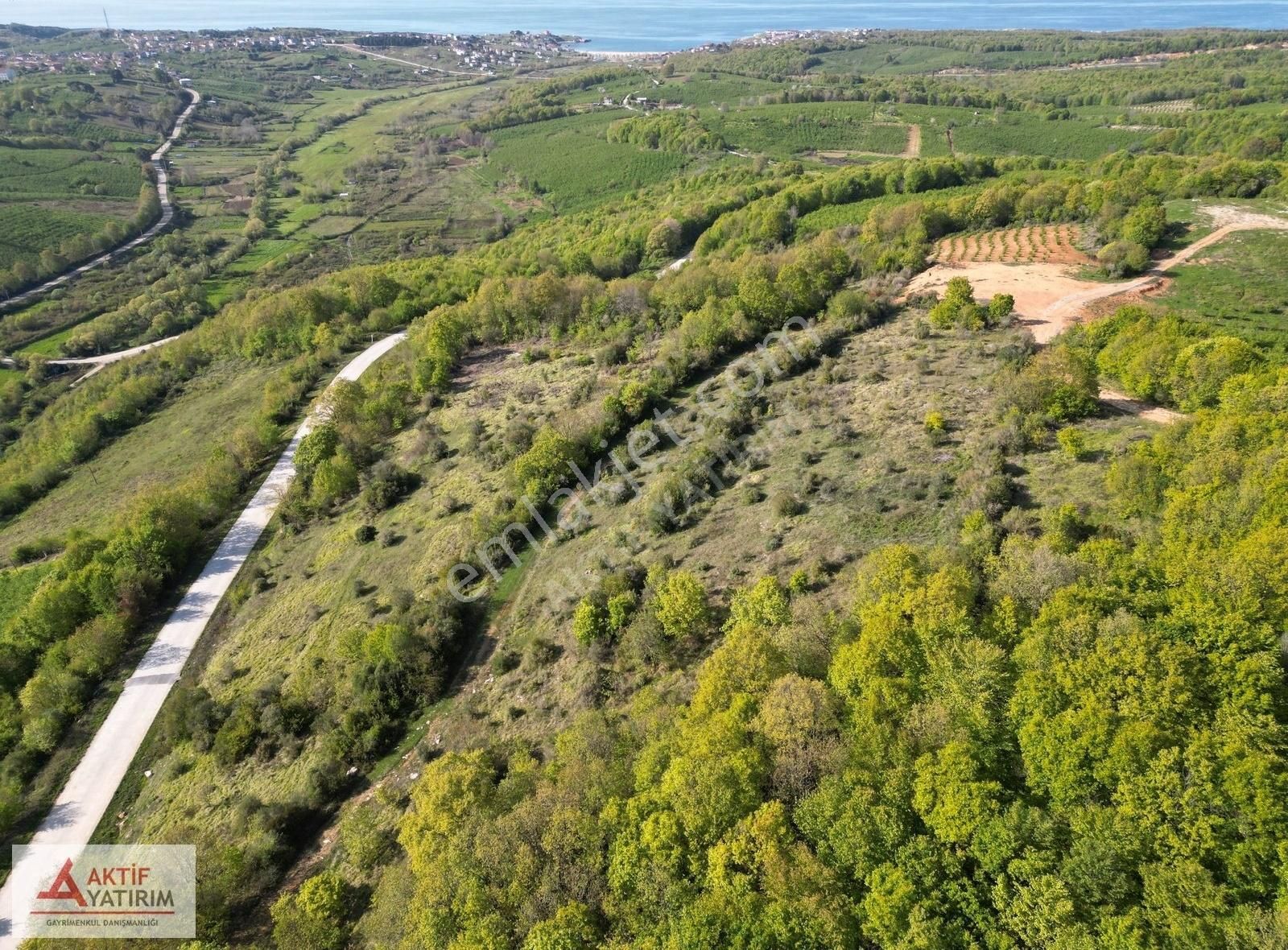 Bağırganlı Zirvede Ormana Cepheli Eşsiz Manzaraya Sahip 3362 M2