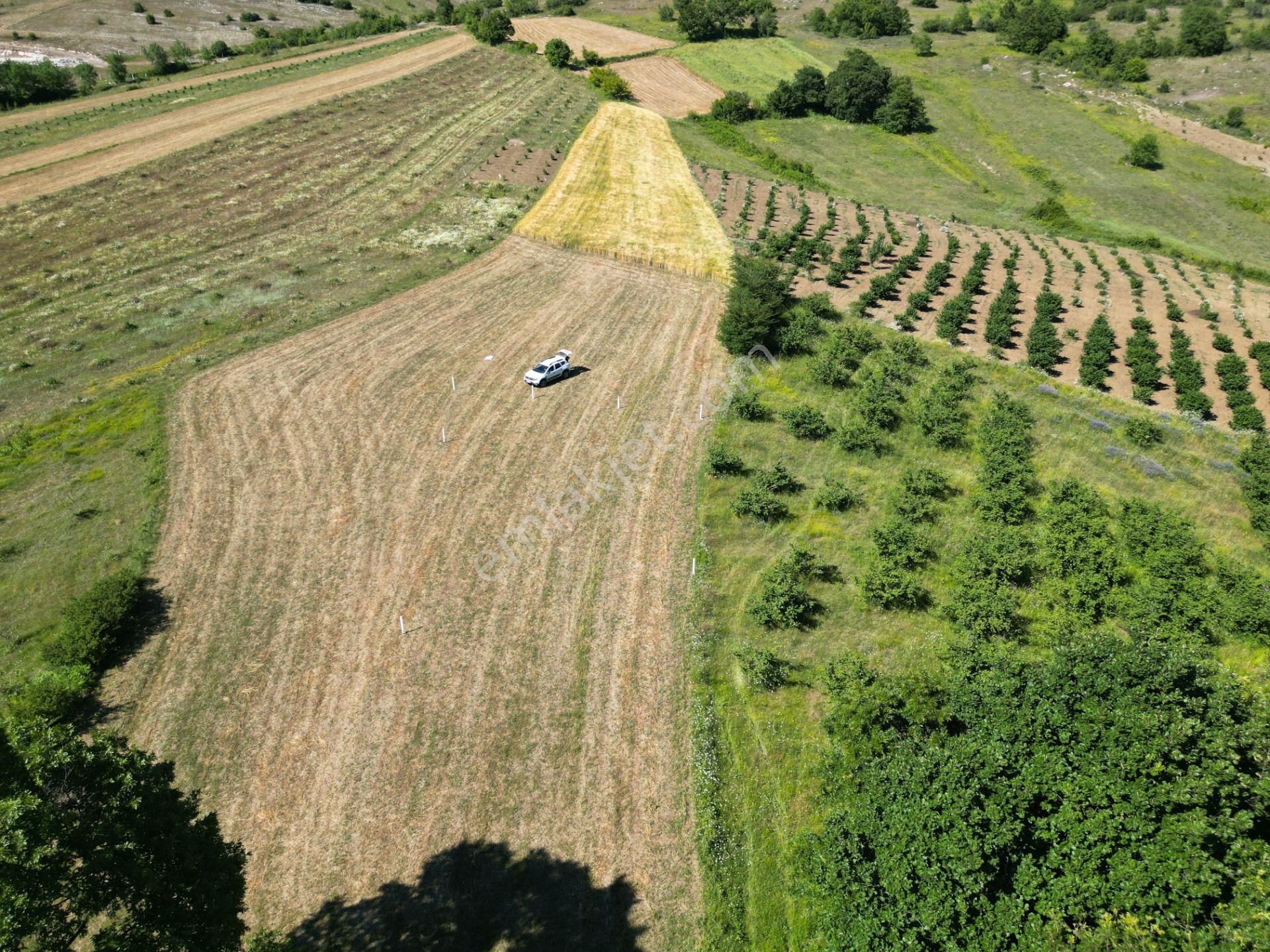 Kandıra'da Çapı Düzgün 867 M2 Satılık Kelepir Tarla - Görsel 29