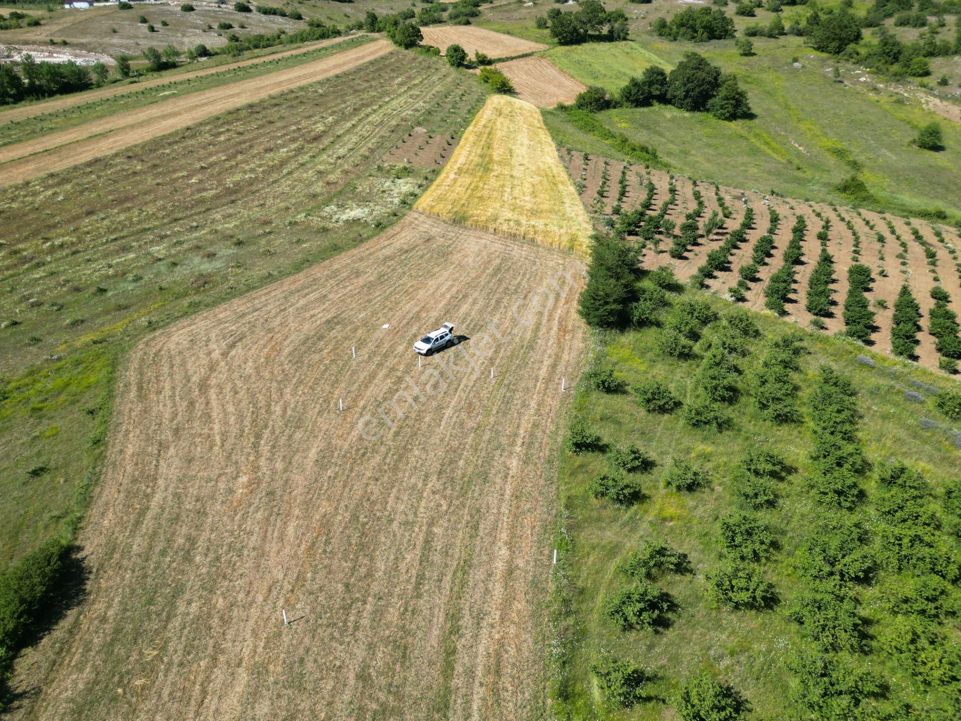 Kandıra'da Çapı Düzgün 867 M2 Satılık Kelepir Tarla - Görsel 30