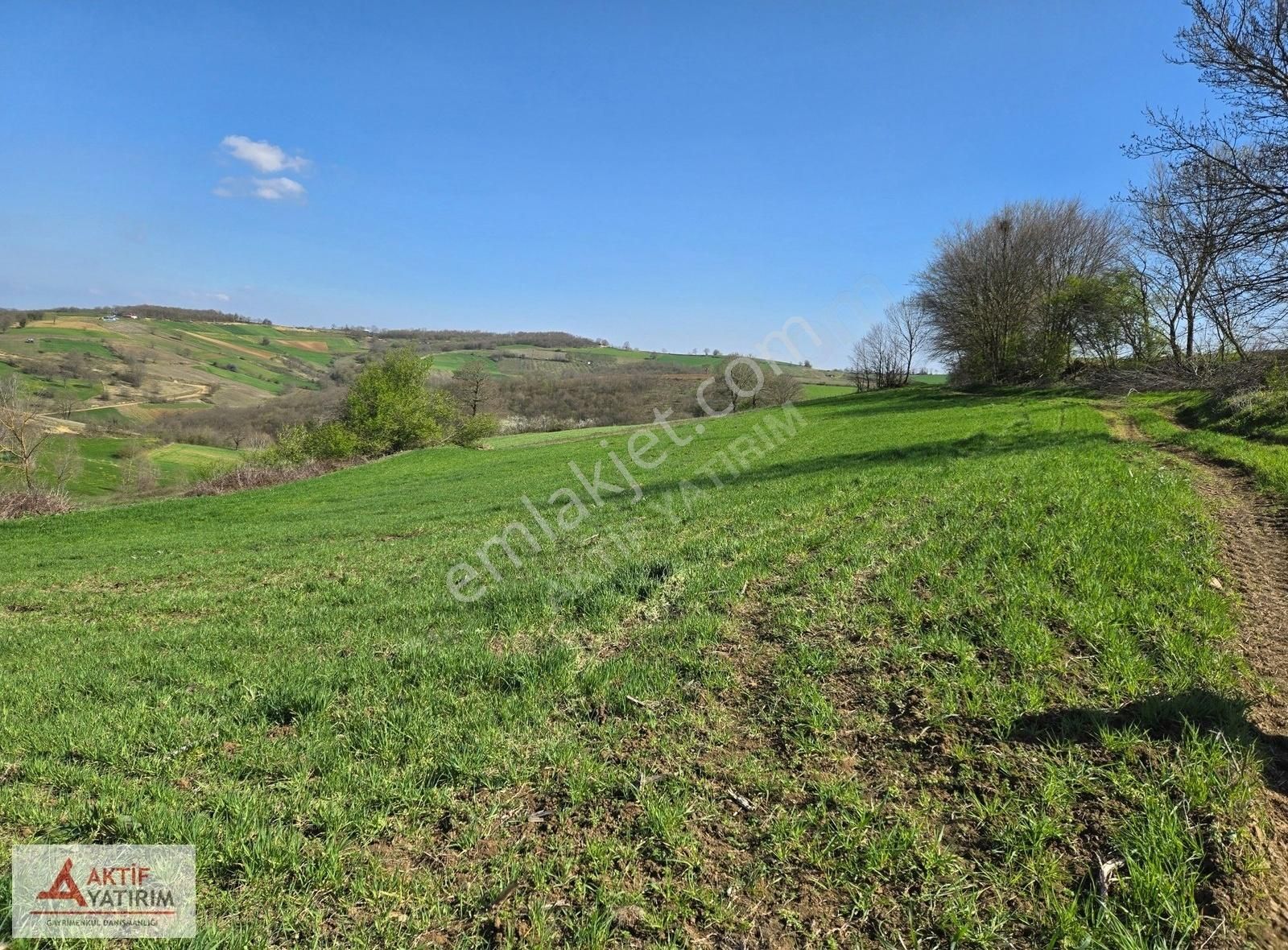 Kandıra Mülküşehsuvar'da 2232 M2 Çapı Düzgün Yola Yakın Tarla - Görsel 7