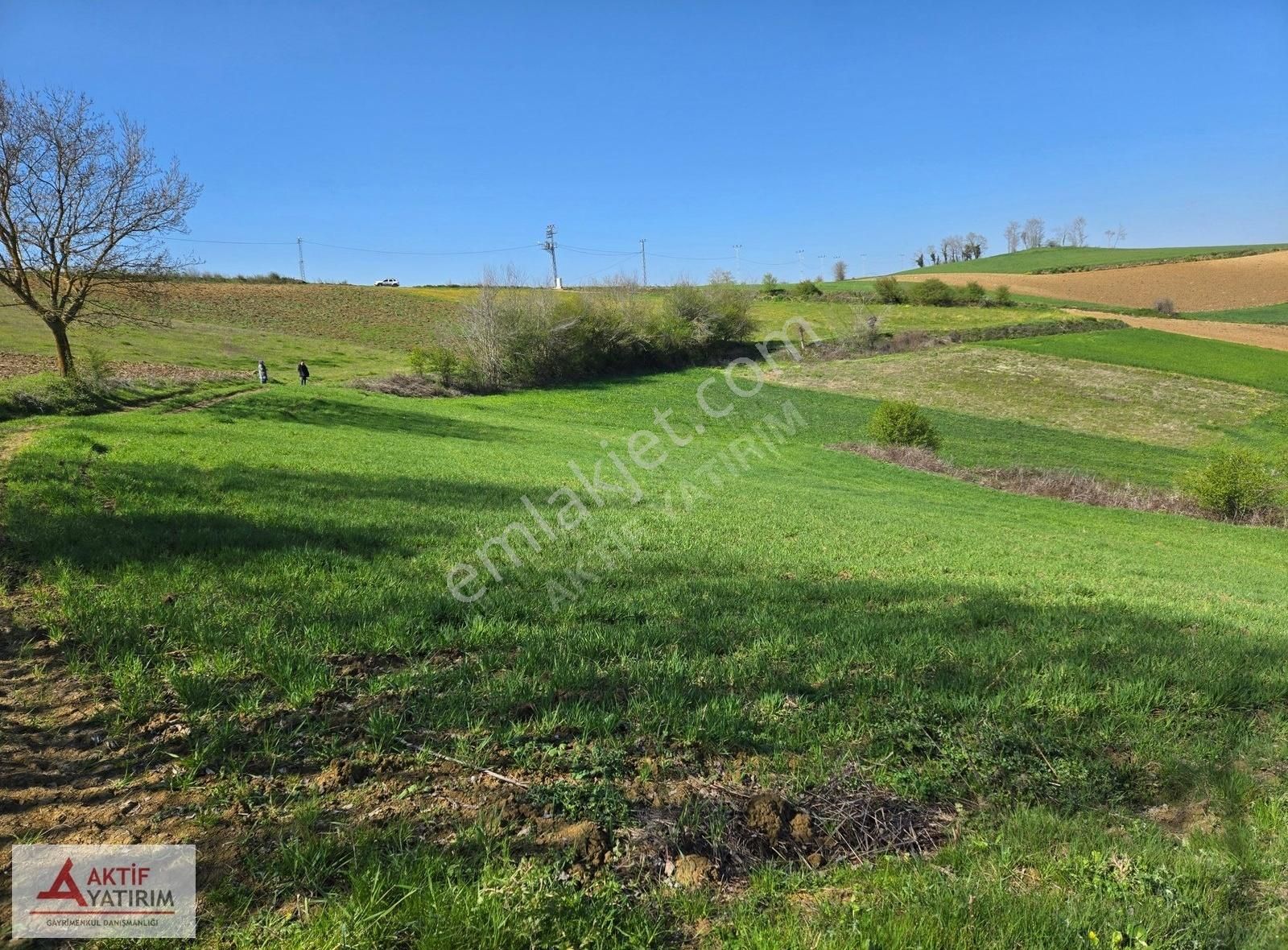 Kandıra Mülküşehsuvar'da 2232 M2 Çapı Düzgün Yola Yakın Tarla
