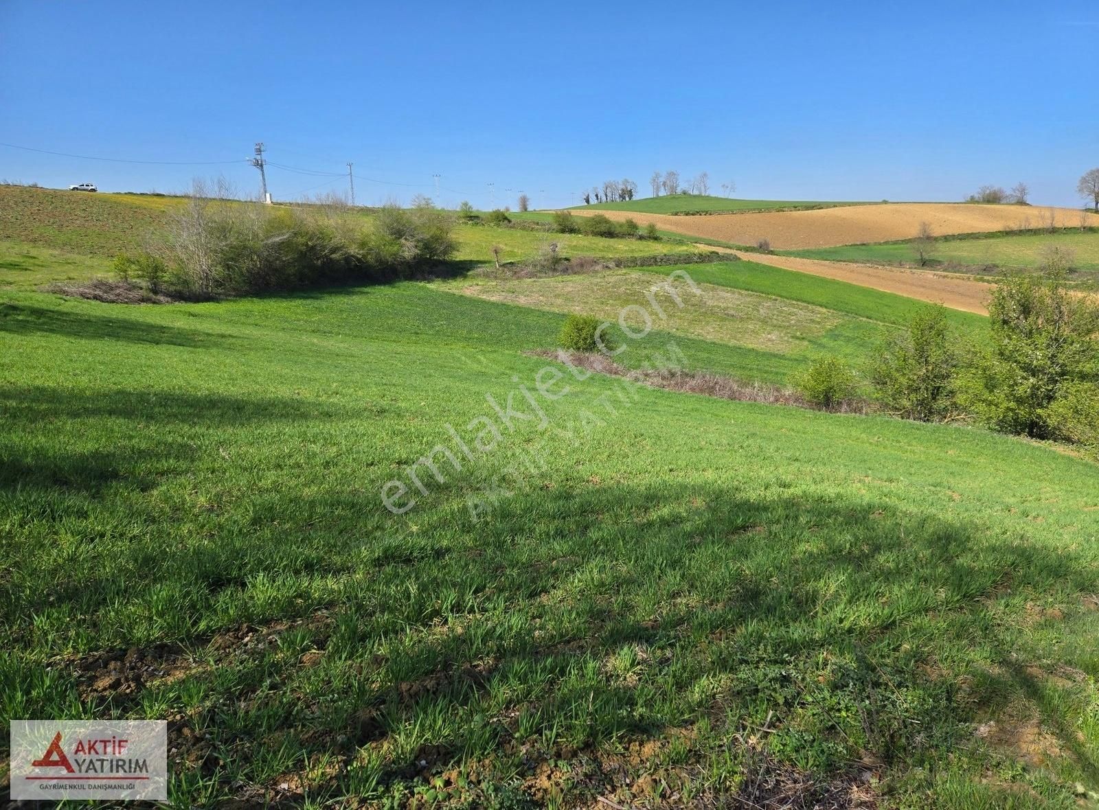 Kandıra Mülküşehsuvar'da 2232 M2 Çapı Düzgün Yola Yakın Tarla - Görsel 4