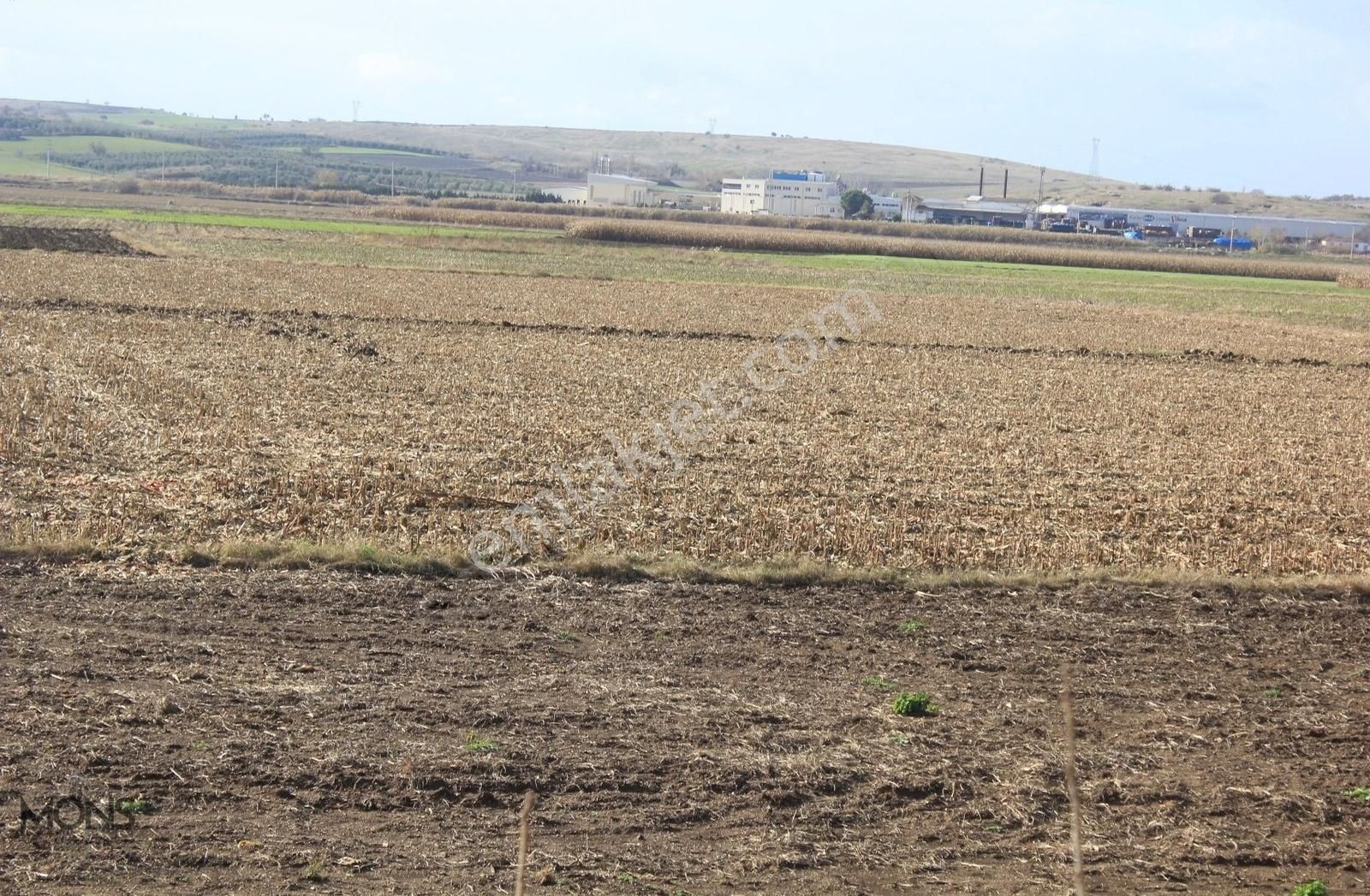 Bursa Karacabey Tophisar 6750 M2 Tarla