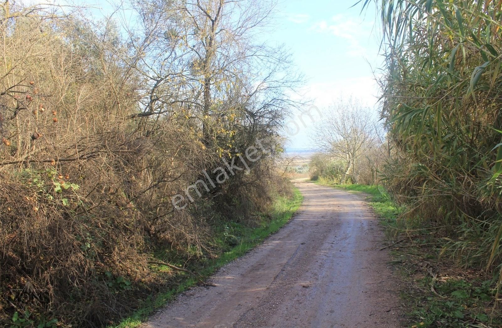 Karacabey Danişment'te Yola Cephe 2600 M2 Yatırımlık Tarla