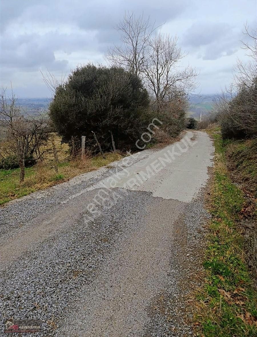 As Gayrimenkulden Bafra Da Kupon Müstakil - Görsel 10