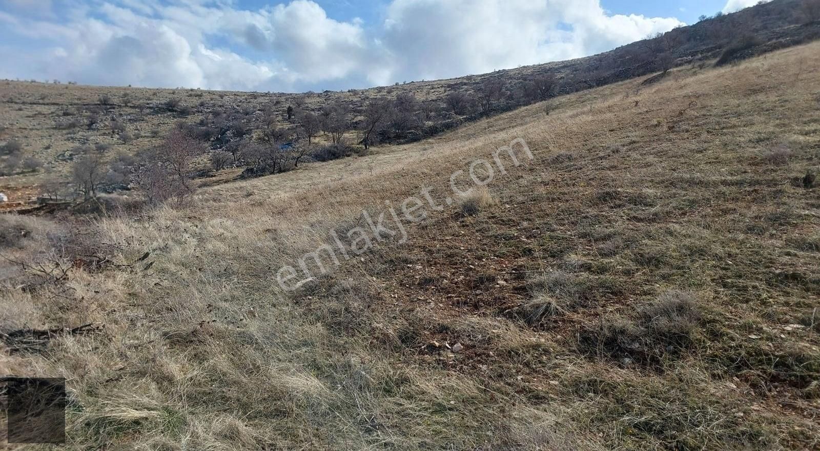 Cafana, Eski Köyün Üst Yamacında Satılık 18.700m2 Üzüm Bağı