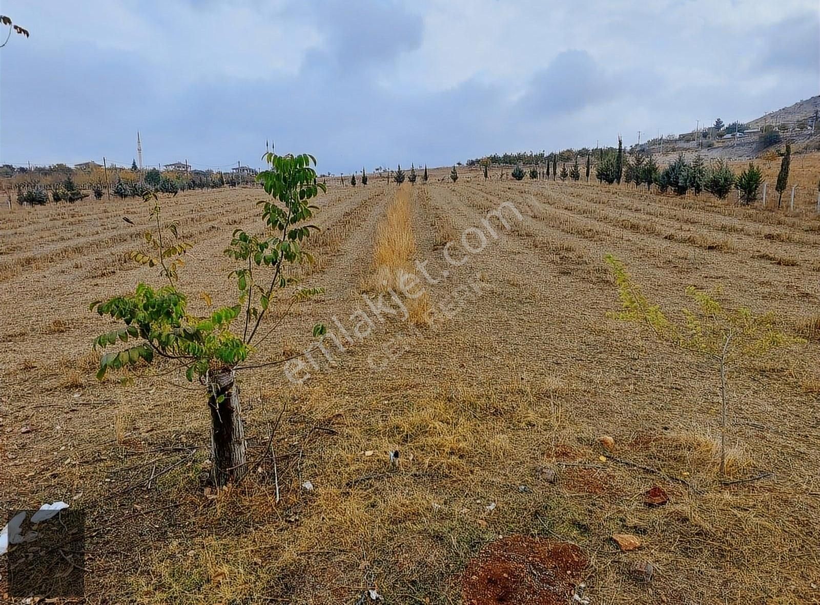 Elemendik/duruldu Mevkiinde, 95m.göl Cepheli 12.692m2 Lüx Parsel