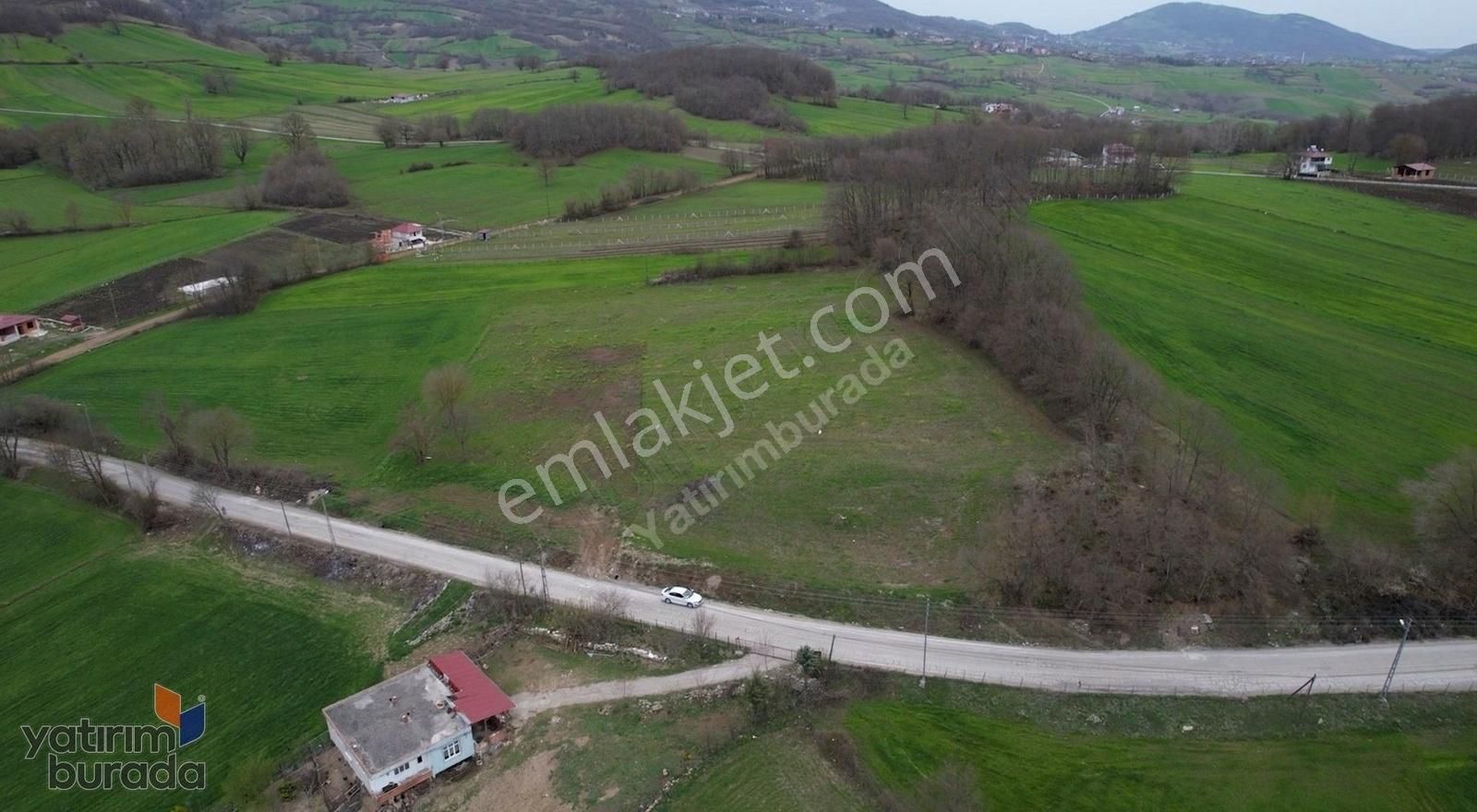 Atakum Köseli'de Kadastral Yola Cephe 1.738 M2 Satılık Arazi