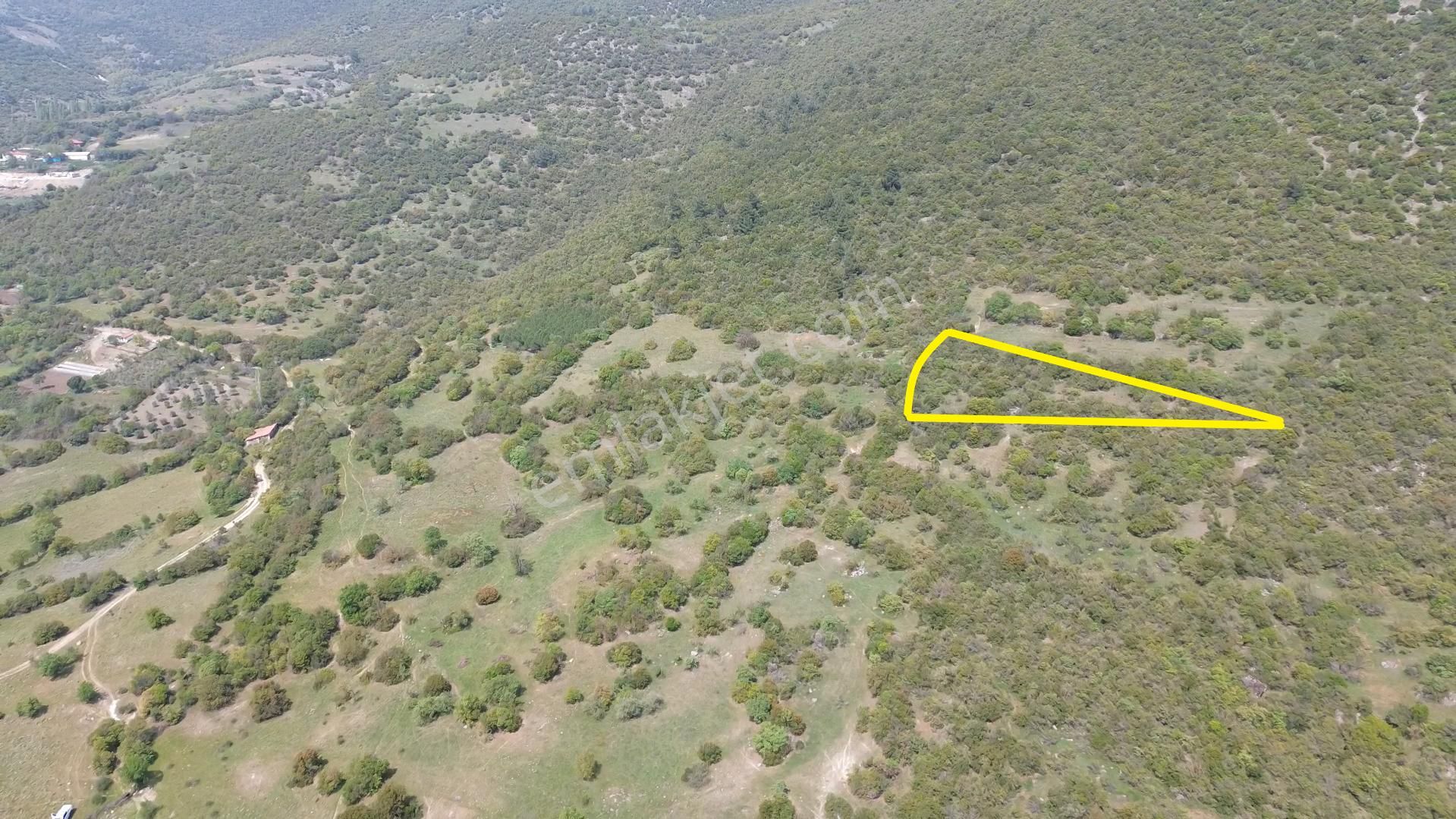 782 M2 Etrafı Ormanla Çevrili Yatırımlık Arazi