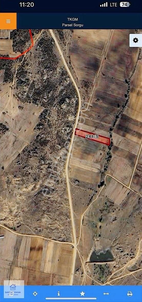Acil Kelepir Edirne Süloğlu Tatarlar 5963 M2 Caddeye 31 Cepeli