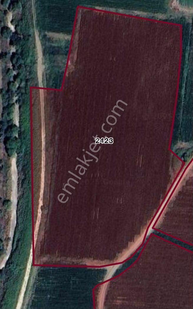 Otoyola Köye Yakın Yatırımlık Çift Tarafı Yol Yola 260m Cephe Deredibi Ağaç Meyve Ekimine Uygun