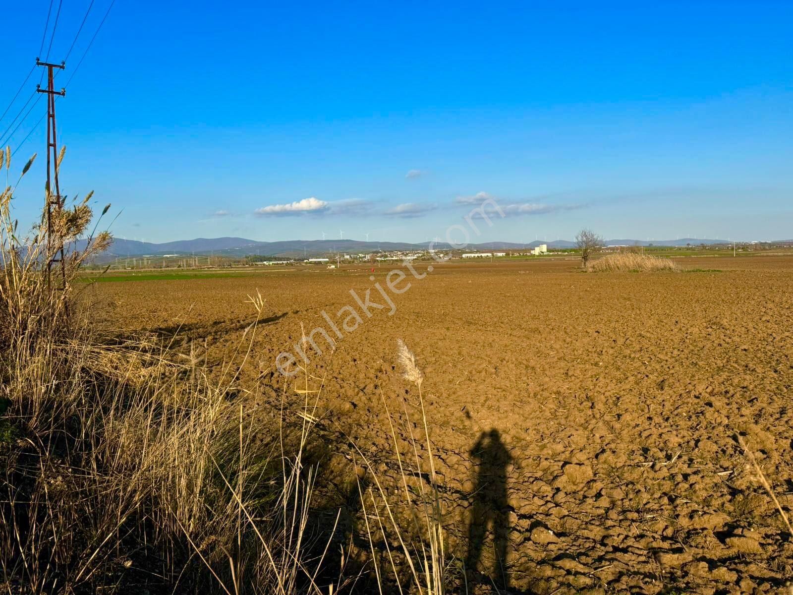 Otoyola Köye Yakın Yatırımlık Çift Tarafı Yol Yola 260m Cephe Deredibi Ağaç Meyve Ekimine Uygun
