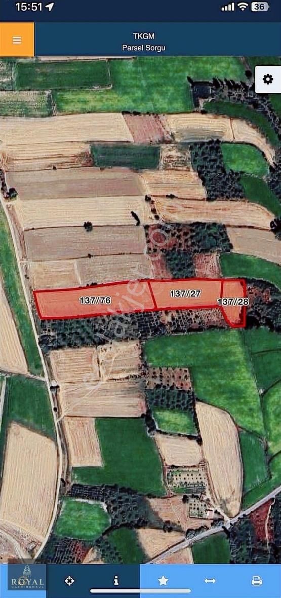Royal Den Ovacık Köyünde 3 Parsel Yan Yana Satılık Arsa