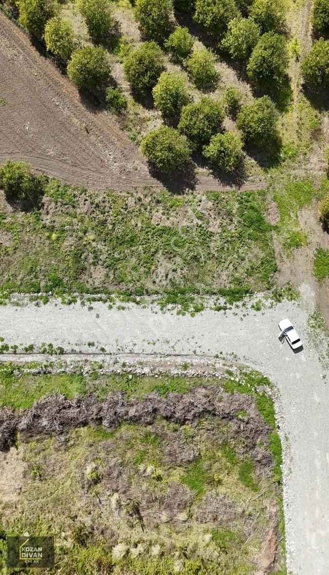 Kozan Divan Emlak'tan Tavşantepe'de Satılık 504 M2 Arsa