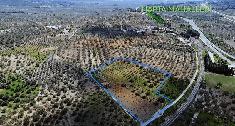 Ermiş Emlaktan Uygun Zeytin Bahçesi