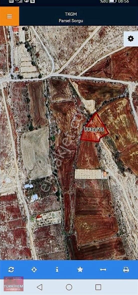 Gesi Güzelköyde 2585m2 Satılık Tek Tapu Bağ