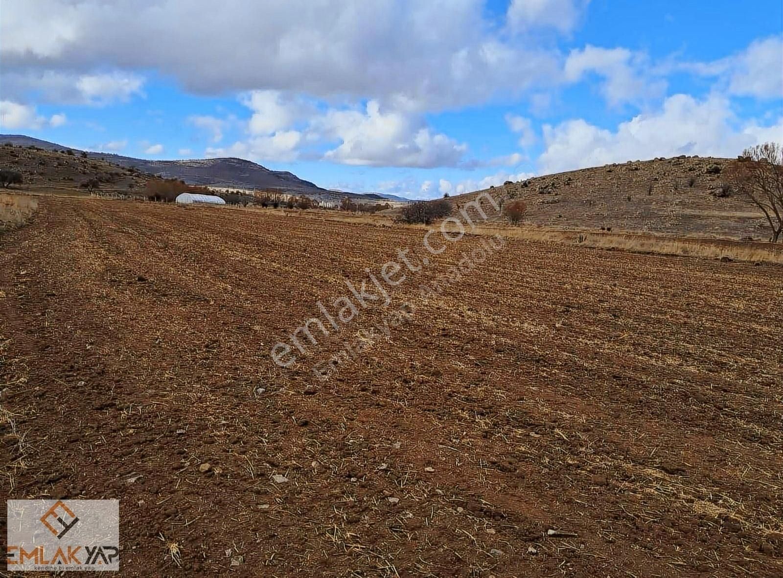 Meram Kızılören 4462m2 Tek Tapulu Müstakil Tarla