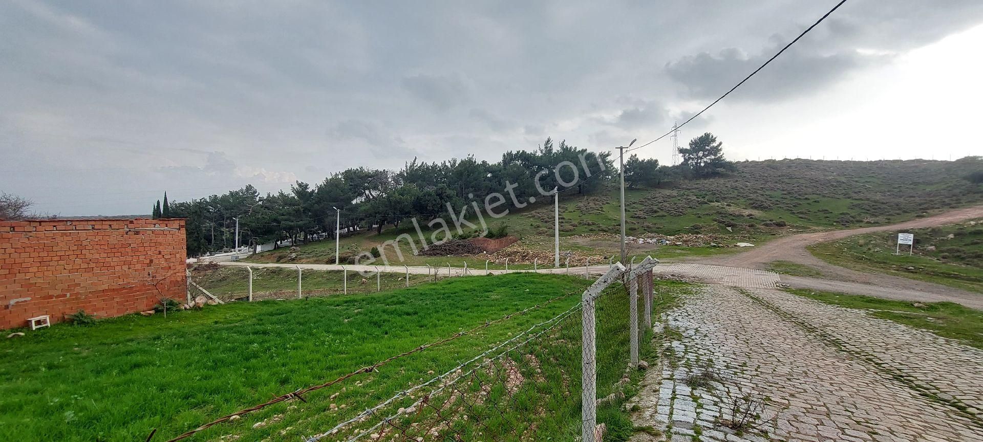 Premar Ayvada'dan Burhaniye Pelitköy Konut İmarlı 289 M2 Arsa