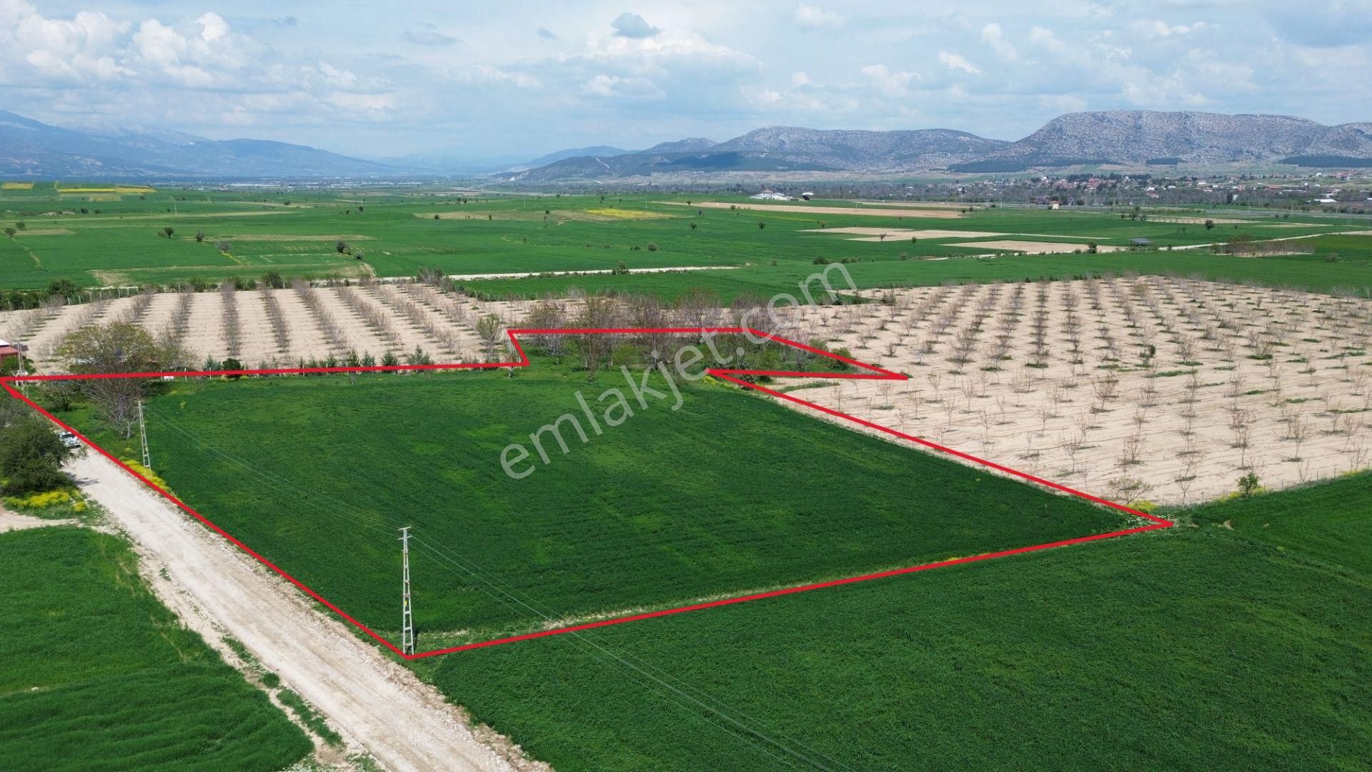 Korkuteli Yeltende Satılık Verimli 7.727 M2 Tarla - Görsel 2