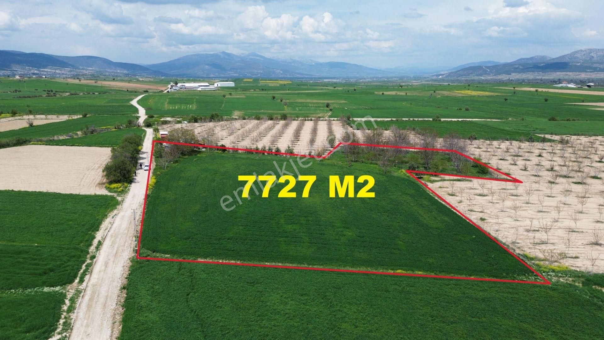 Korkuteli Yeltende Satılık Verimli 7.727 M2 Tarla