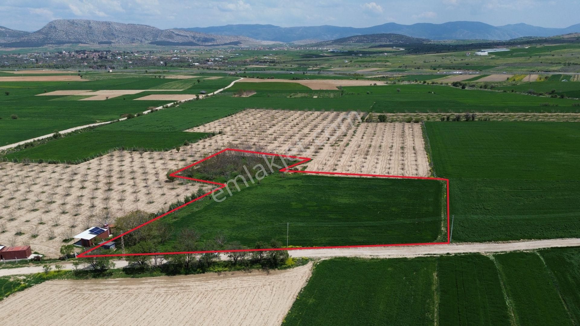 Korkuteli Yeltende Satılık Verimli 7.727 M2 Tarla - Görsel 4