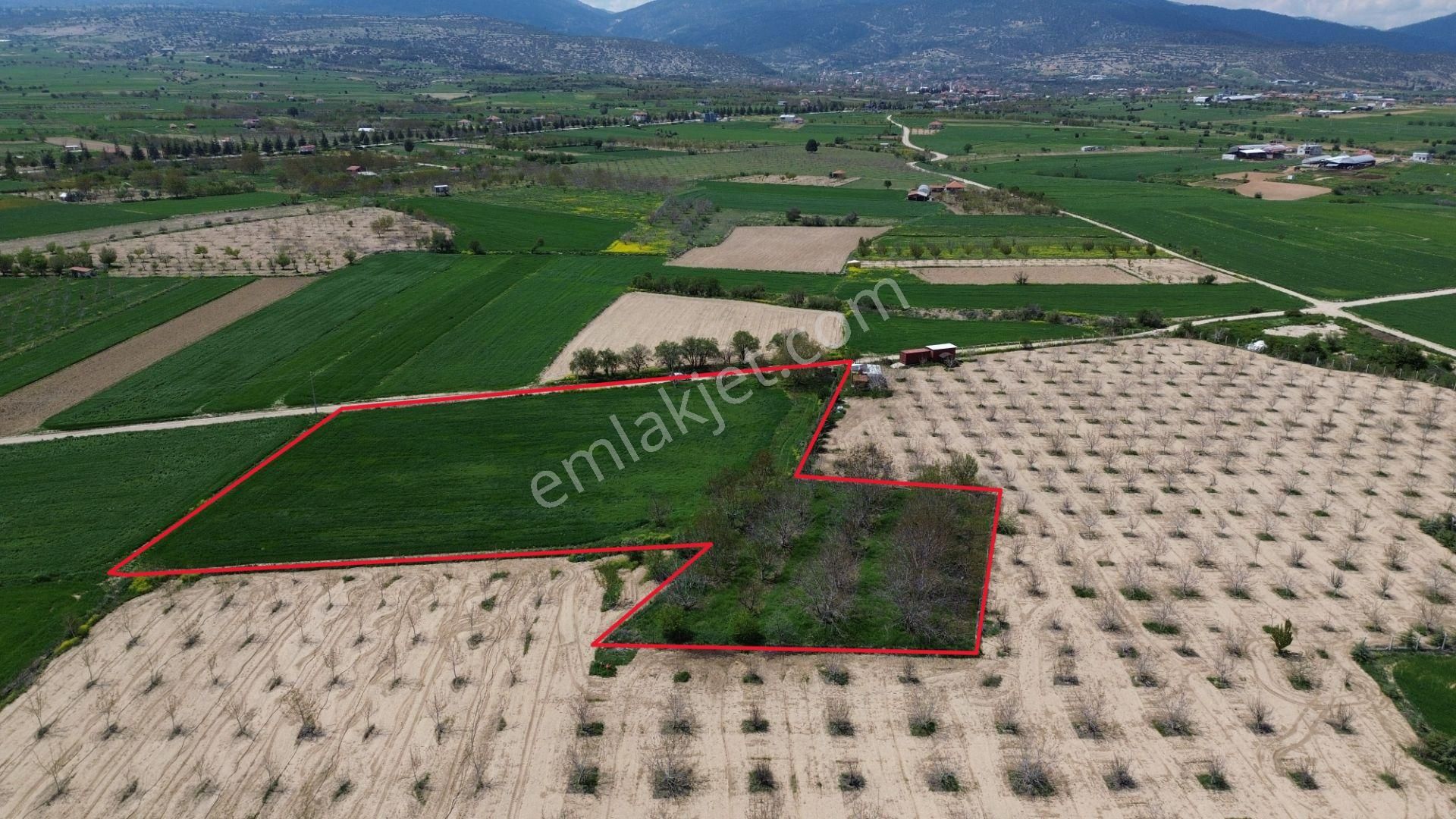 Korkuteli Yeltende Satılık Verimli 7.727 M2 Tarla - Görsel 8