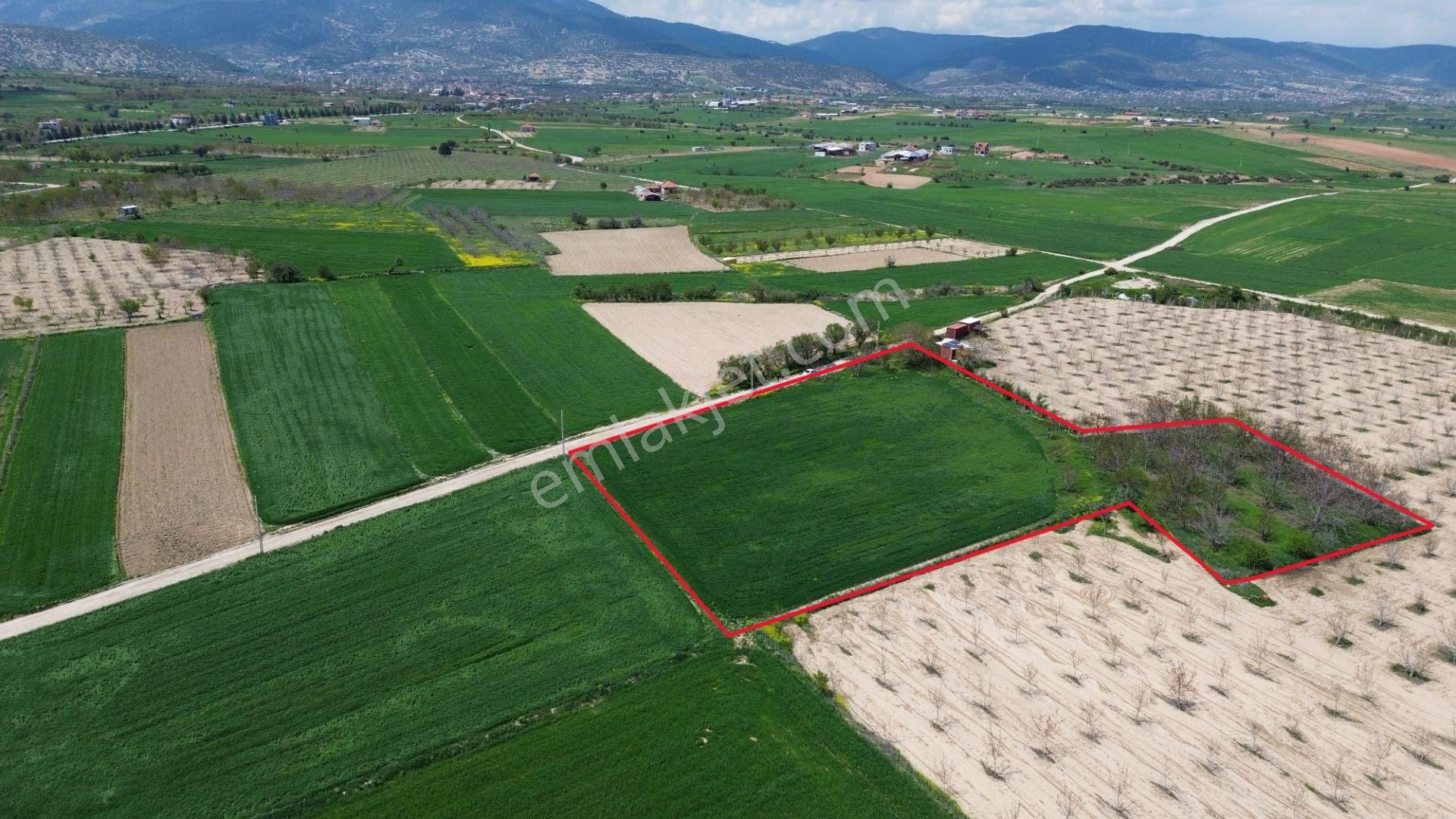 Korkuteli Yeltende Satılık Verimli 7.727 M2 Tarla - Görsel 7