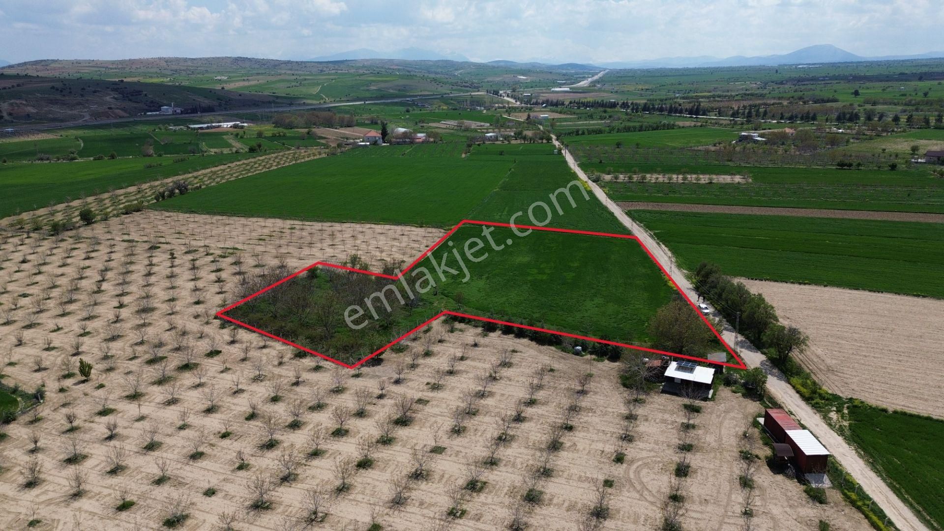 Korkuteli Yeltende Satılık Verimli 7.727 M2 Tarla - Görsel 9