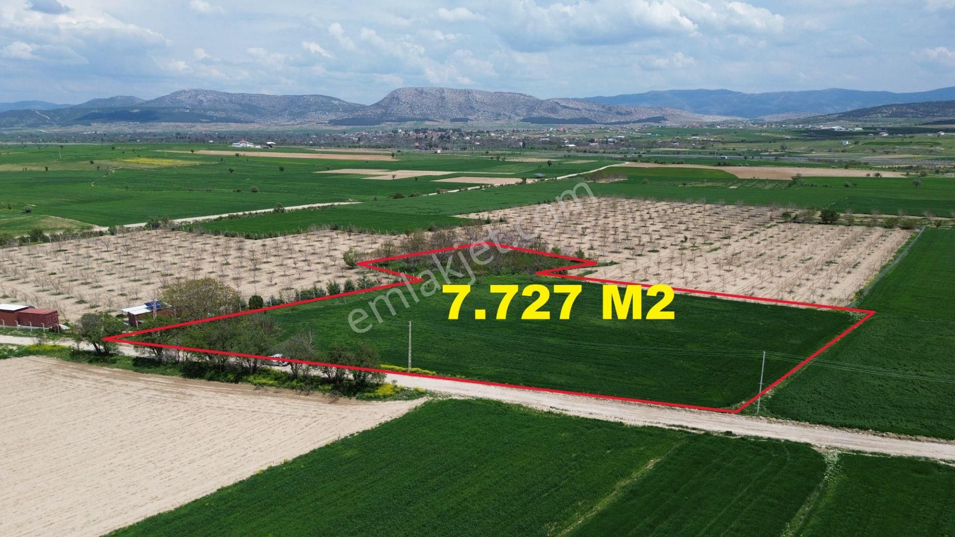 Korkuteli Yeltende Satılık Verimli 7.727 M2 Tarla - Görsel 3