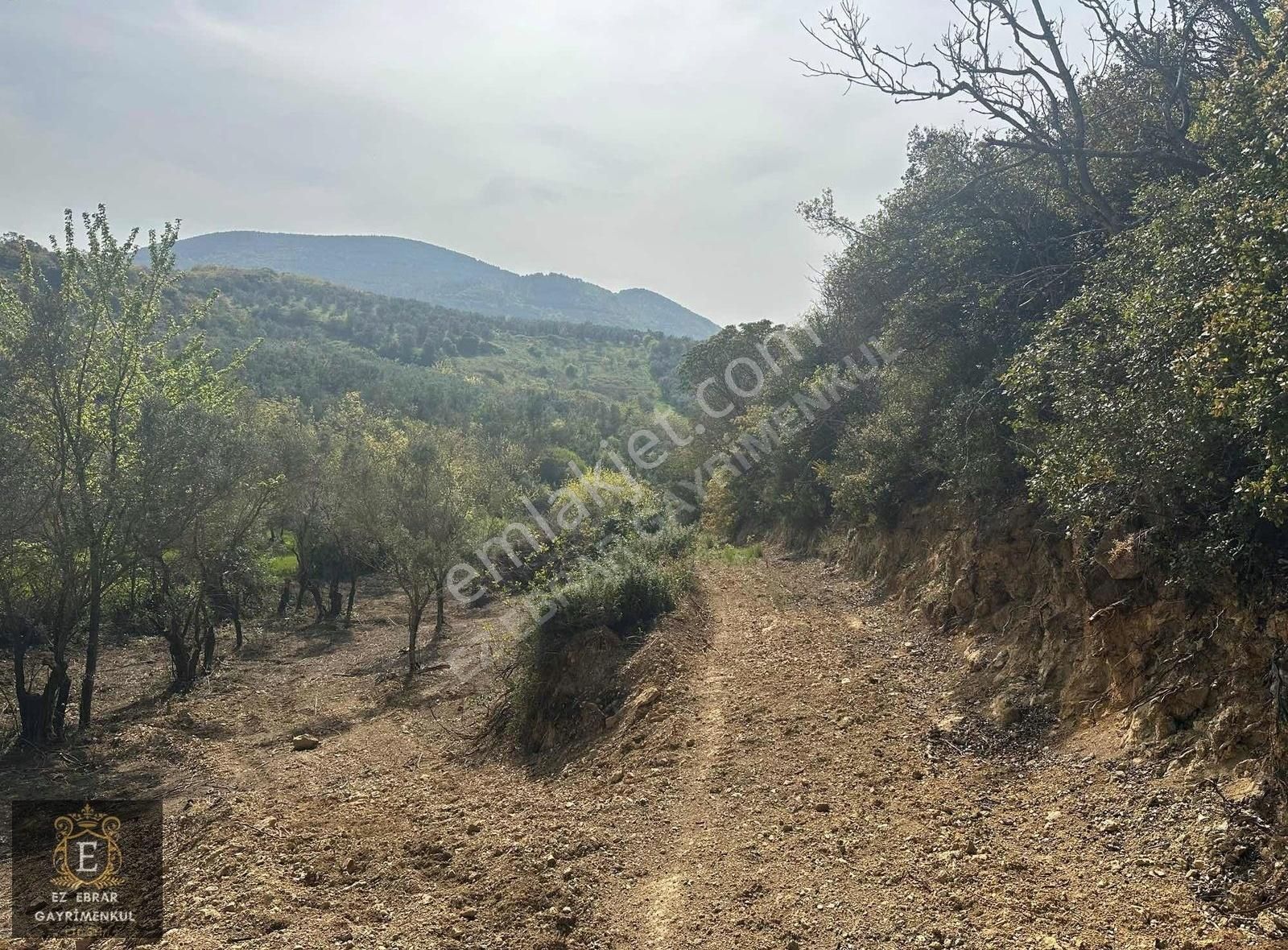 Mudanya Talatbey'de 950 M2 , Yatırımlık Arazi