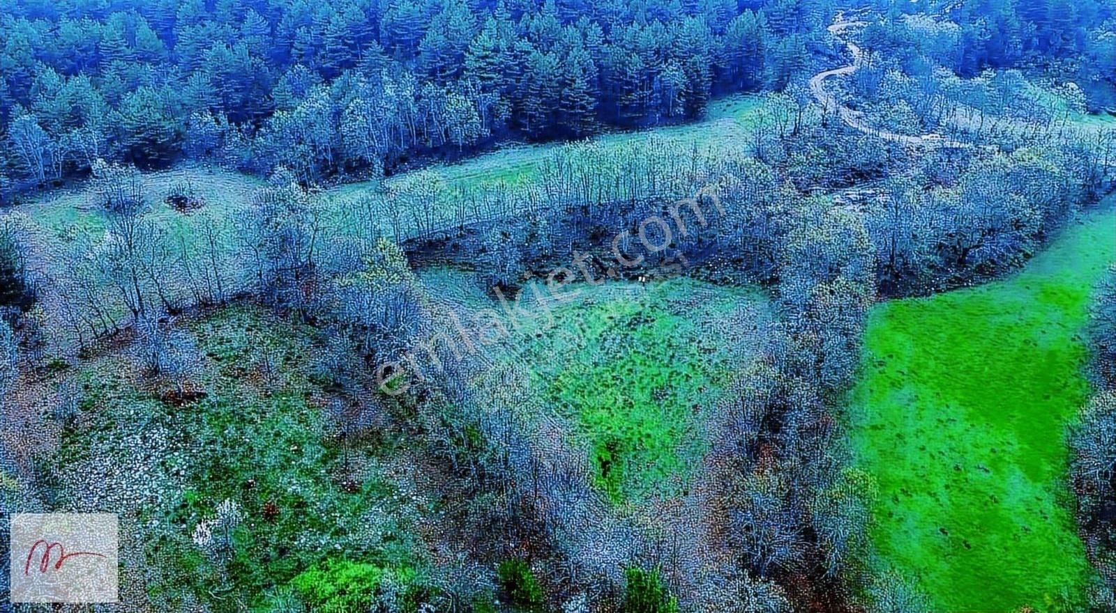 Kaz Dağlarının Eteklerinde Yatırımlık Doğa Harikası Tarla!!!