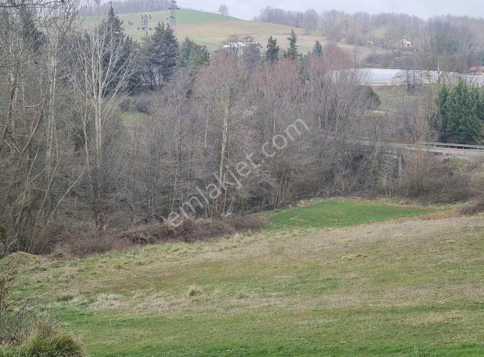 Şile Değirmençayırında Satılık 3068m2 Arsa